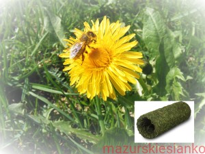 JR Farm mały tunel z siana 19cm/5cm