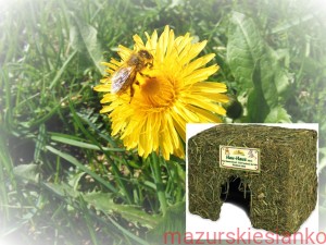 JR Farm mały domek z siana 60g