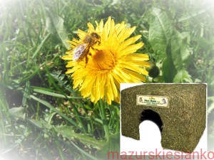 JR Farm średni domek z siana 300g