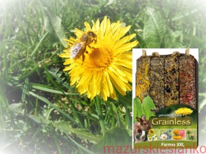 JR Farm zestaw czterech bezzbożowych kolb XXL z kwiatami 450g