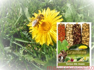 JR Farm zestaw czterech bezzbożowych kolb XXL z warzywami 450g