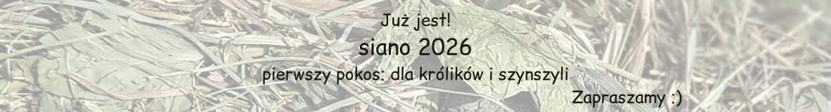 Siano_2026